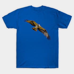 Flying osprey with a target in sight T-Shirt